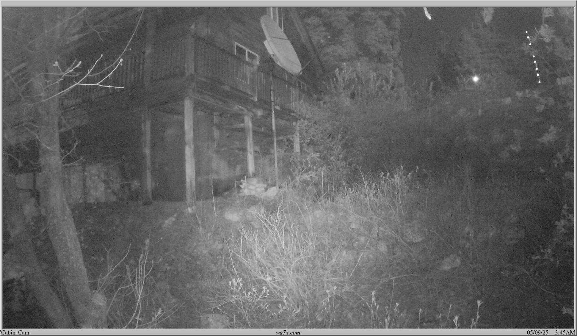 The Cabin Cam"